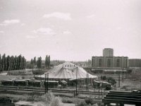 Avenija Marina Držića, cirkus Adria 1959. godine (na mjestu današnjeg autobusnog kolodvora)